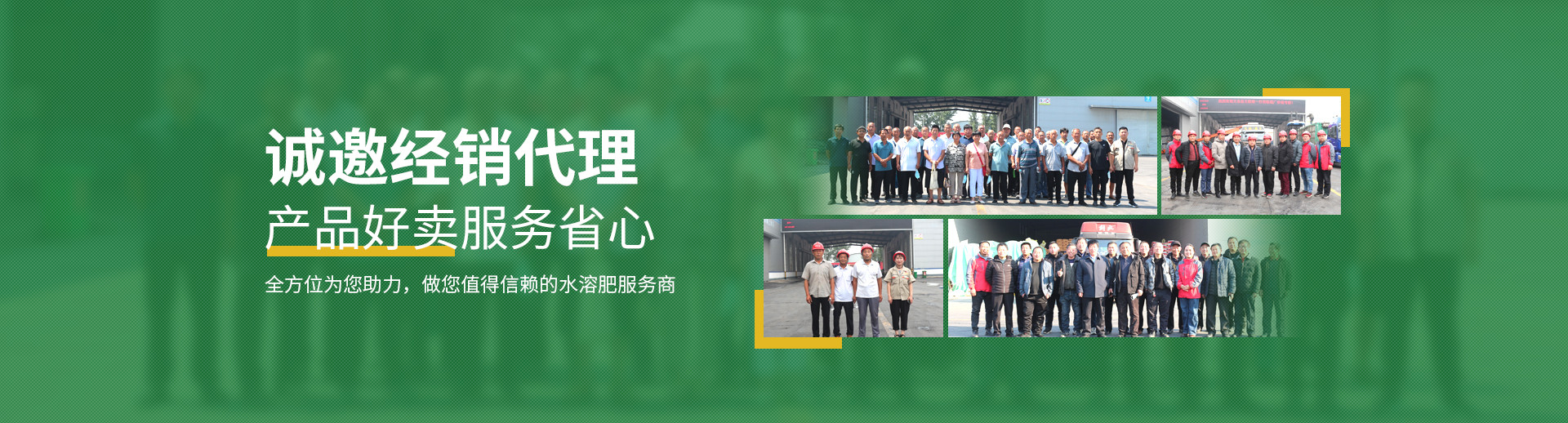水溶肥料-大量元素水溶肥-含氨基酸水溶肥料-高塔復合肥-水溶肥生產(chǎn)廠家-河南中黃特肥科技有限責任公司
